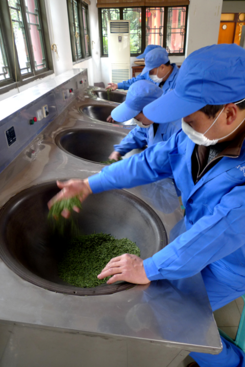 优秀创新成长企业川茶集团:萌芽到崛起 一叶茶叶几多创新