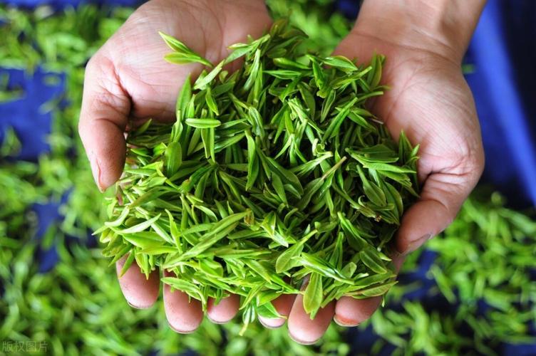 小喜年:9块9还包邮的茶叶真的存在吗?这些成本你必须知道!