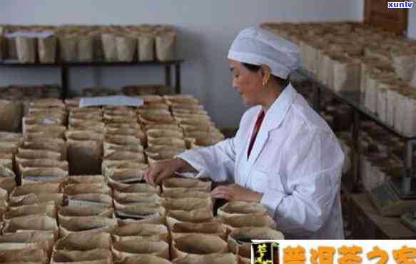 和益茶厂概况:了解和益茶厂及和益茶业