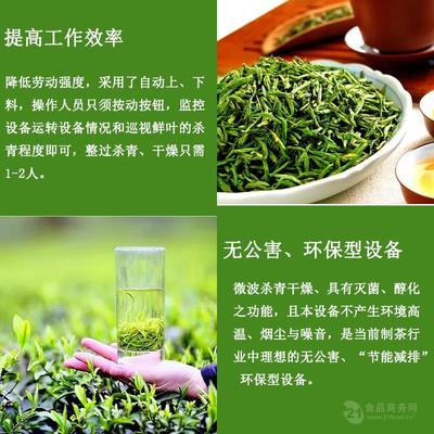 茶叶杀青设备茶叶护色机 茶叶微波杀青机