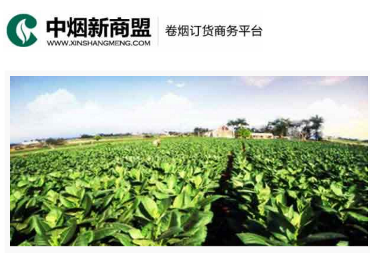 中烟新商盟卷烟订货商务平台-浪潮